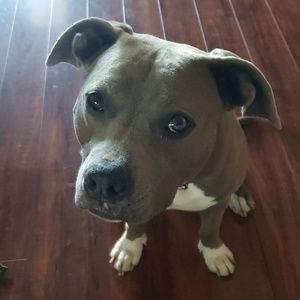 Meet your Posher, Maggie